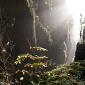 Le pont romain sur le Guiers Vif à Saint Christophe la Grotte