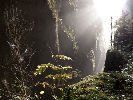 Le pont romain sur le Guiers Vif à Saint Christophe la Grotte