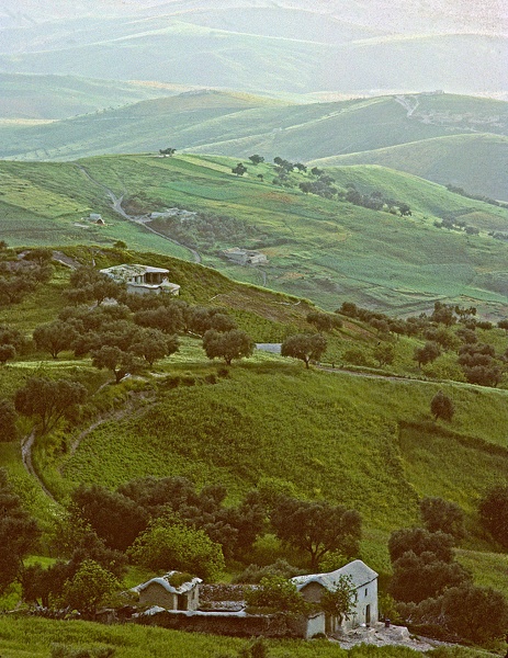 Paysage du Rif : Zalagh