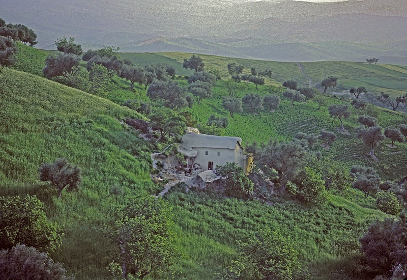 Paysage du Rif : Zalagh