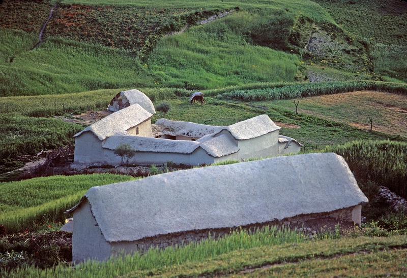 Paysage du Rif : Zalagh