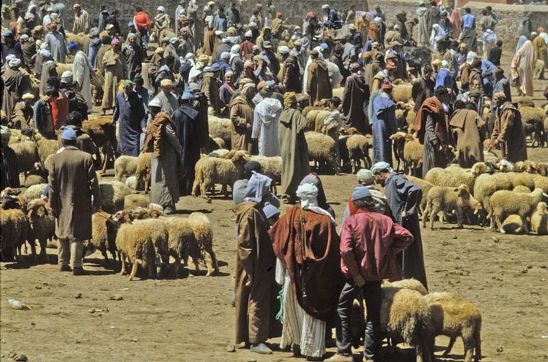 Marché à Khenifra