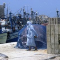 Sur  le port de pêche