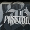 intégration,-détail-(passion)