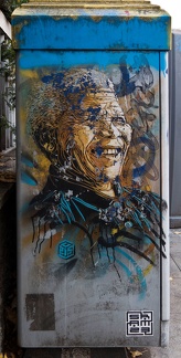 Nelson-Mandela