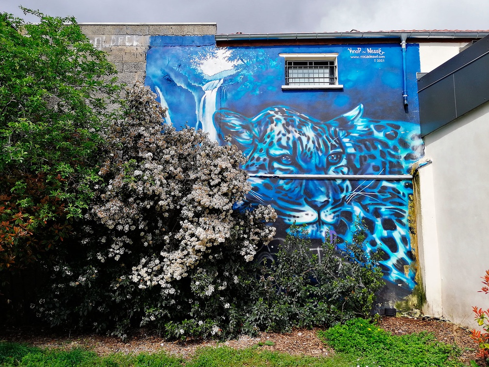 Street art. Leopardo sobre fondo azul