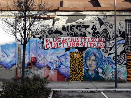 Culture vitale